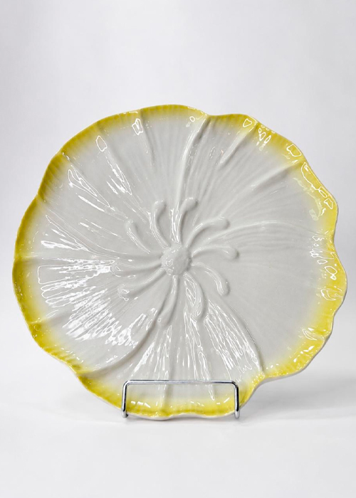 5c